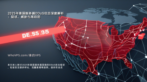 2025年美国服务器DDoS攻击深度解析：现状、威胁与高效防护策略