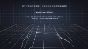 原生IP查询权威指南：识别技术与应用场景深度解析