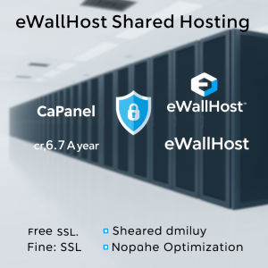 2025年特惠：eWallHost cPanel和DirectAdmin共享主机每年仅需$7！