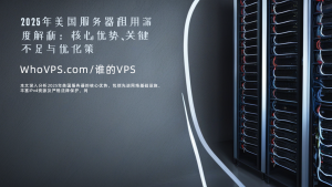 2025年美国服务器租用深度解析：核心优势、关键不足与优化策略