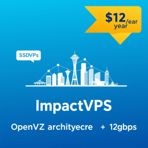 ImpactVPS 2025年西雅图VDR服务器深度评测：$12/年高性能SSD方案与OpenVZ架构优化指南