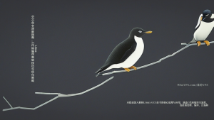 Linux GCC命令深度指南：C代码编译高级技巧与优化策略