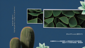 Linux系统Cacti监控平台深度部署指南：从基础安装到高级配置