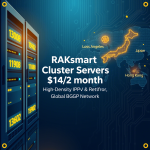 RAKsmart 2025年站群服务器深度解析：$142/月起享高密度IP配置，全球机房全面覆盖