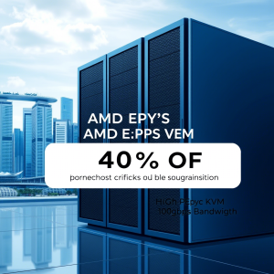 新加坡AMD EPYC KVM VPS – 40%永久折扣促销（2025年8月更新）
