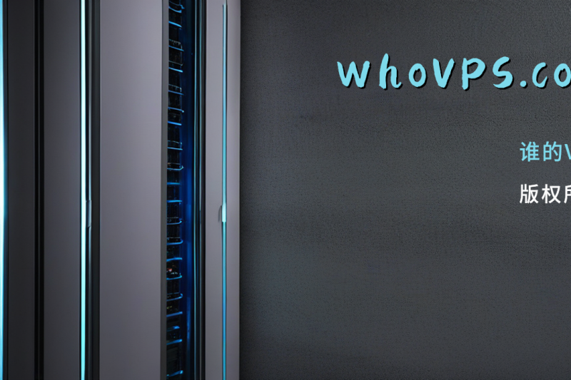 2025野草云香港服务器深度评测：199元起大陆优化BGP线路+DDoS防护