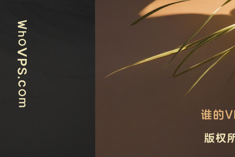 1GServers 2025黑五服务器盛宴深度回顾：旗舰Ryzen 7950X3D与双路E5的终极性价比对决