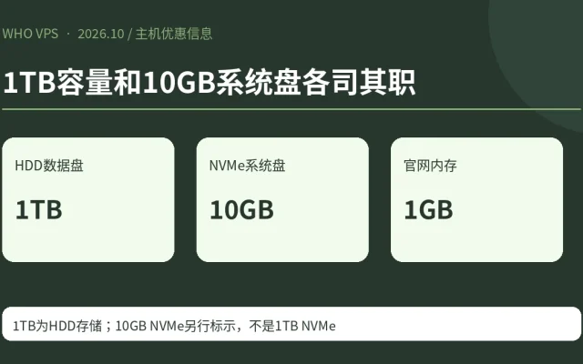 1TB容量和10GB系统盘各司其职；HDD数据盘 1TB、NVMe系统盘 10GB、官网内存 1GB