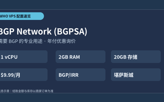 BGP Network VPS 套餐配置和价格选购要点示意图